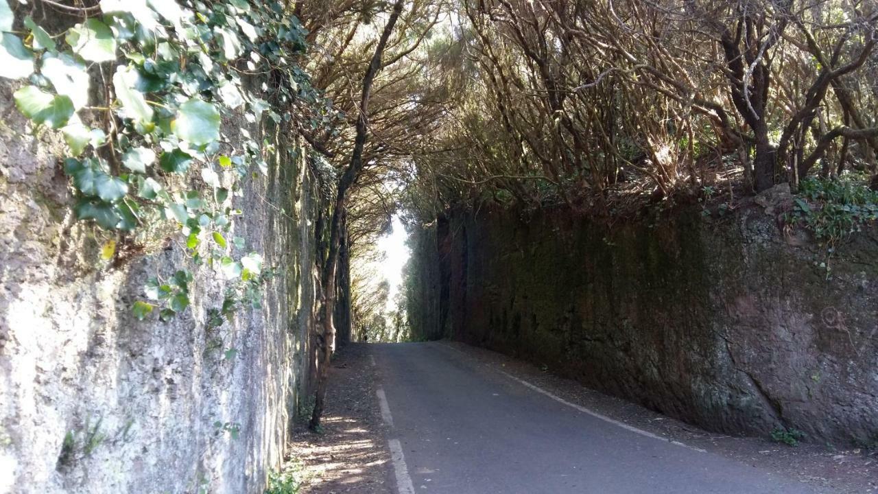 Estudio Los Molinos La Laguna  Exteriér fotografie